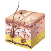 Visible Aging